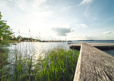 Holzsteg in den See mit Plattform, Schilfgras am Rand.