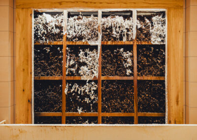 Salzwand mit Holz und Salzkristallen.